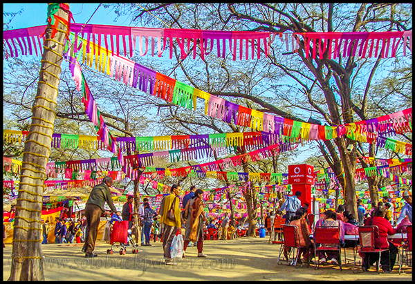 Decorated Food Zone