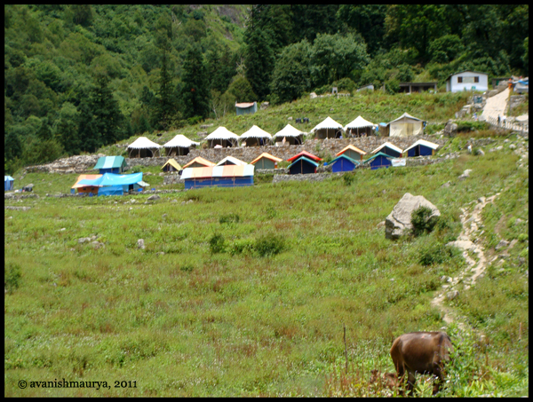 Tented Accomodation:CAMP Ghangaria by Sarovar Hotels