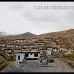 Visit to Kibber Village in the Spiti Valley
