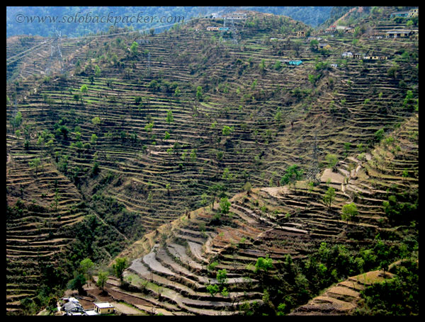 Terraced fields enroute Chamba-Old Tehri