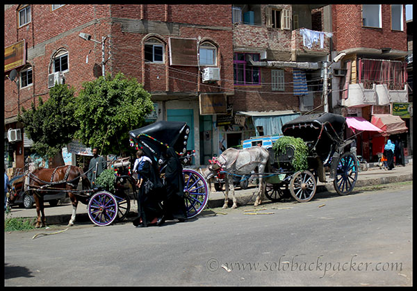 Caleche on the other side of Edfu Bridge