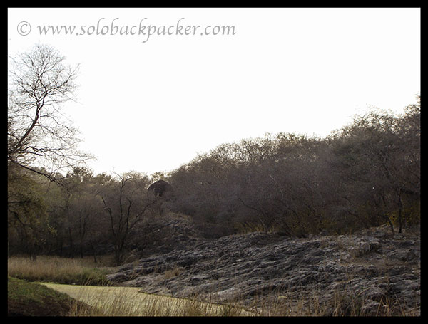 A tomb inside Ranthambhore Park