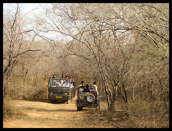 Endless Wait for the Tiger