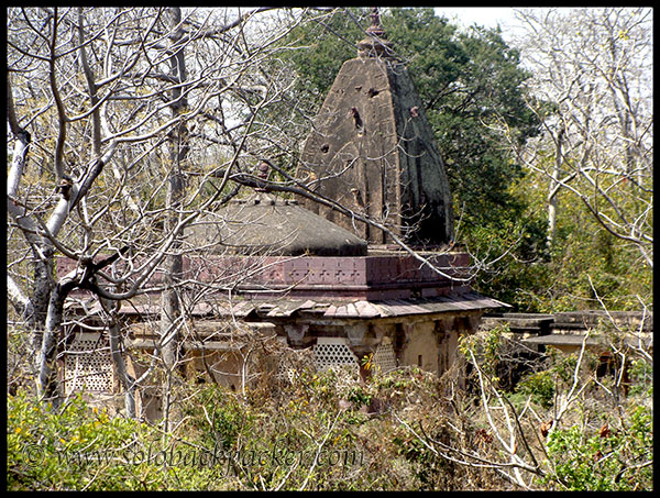 An Old Temple @ Ranthambhore Fort