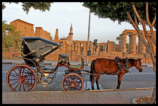 Caliche behind Luxor Temple