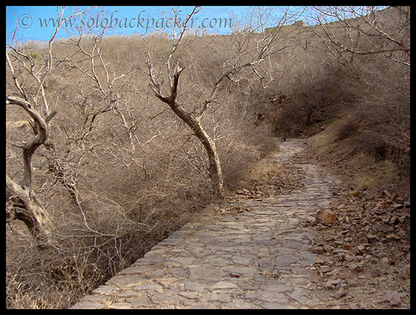 Road leading to Taragarh Fort