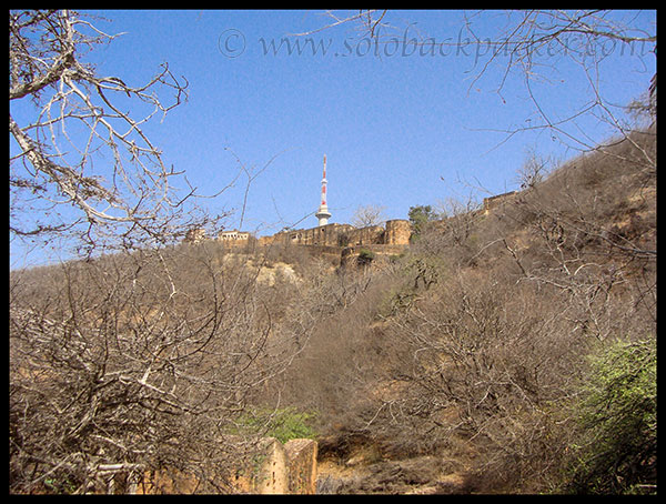 Thorny Bushes inside the Fort