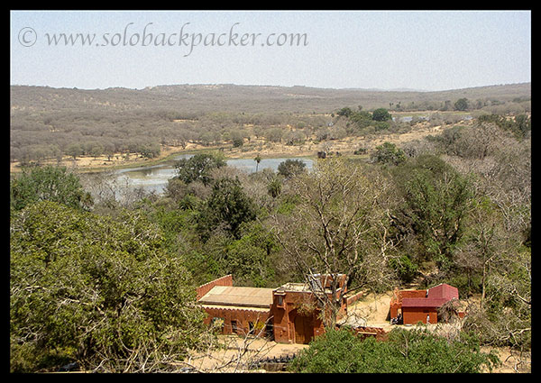 View of the Ranthambhore park from the fort