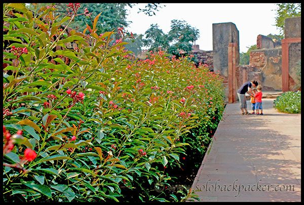 Way to Camel Stable @ Fathehpur Sikri