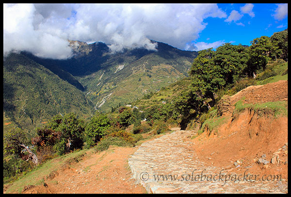 Beauty lies along the road