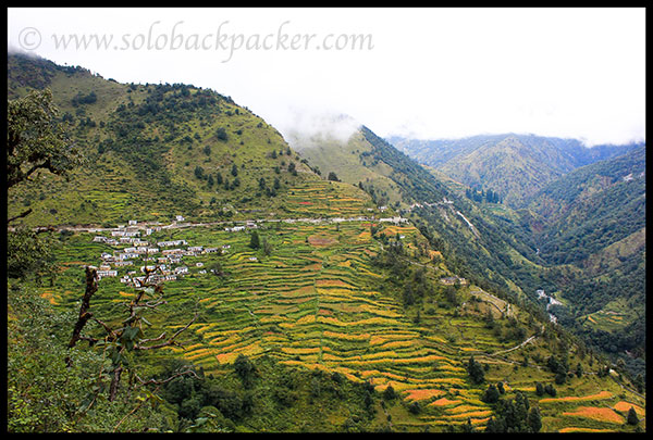 Colorful Fields of Kulling Village