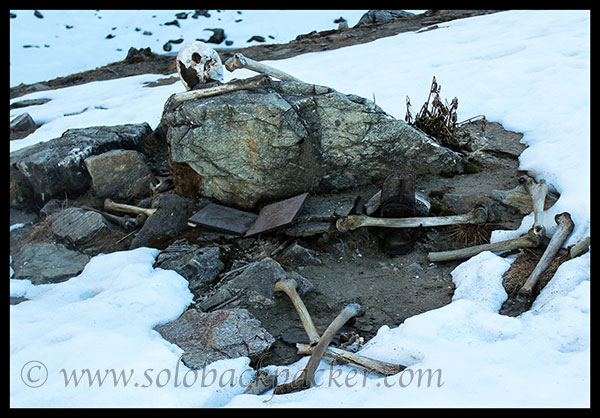 Remaining skull and few bones near Roopkund