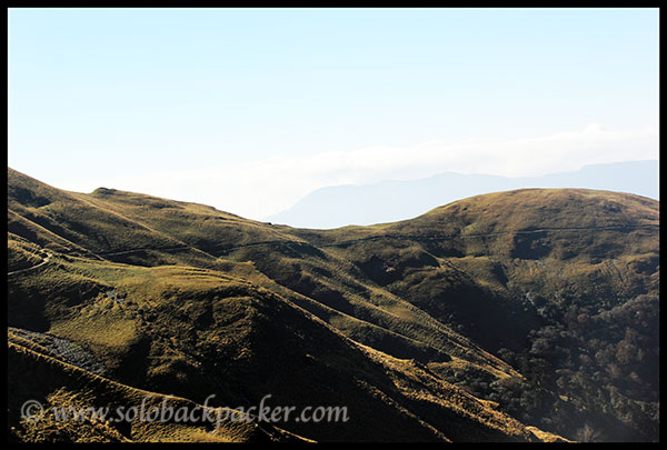 Trail from Bedini Bugyal to Ali Bugyal