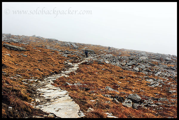 Trail from Kalu Vinayak to Bhagwabusa