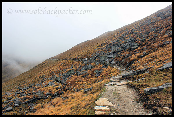 Trail from Bedini Bugyal to Ghora Lotani