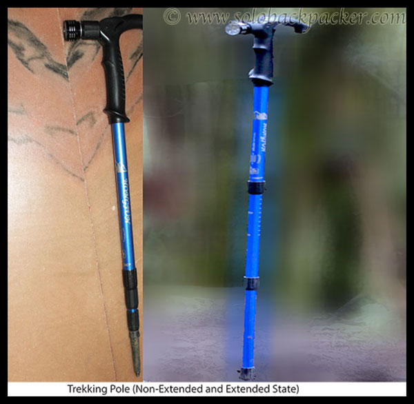 Trekking/Hiking Pole