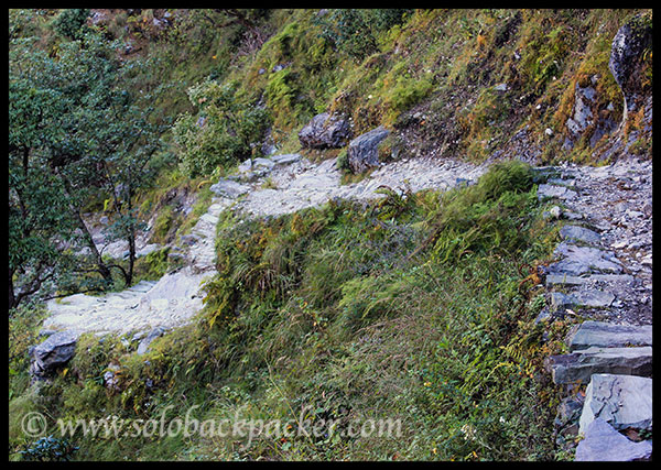 Trail from Didna Village to Neel Ganga River