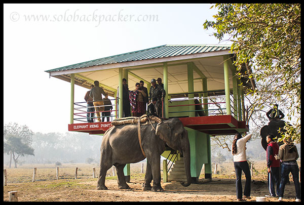 Elephant Riding Point