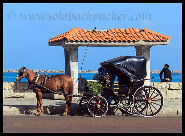 A Caliche Waiting for The Passenger