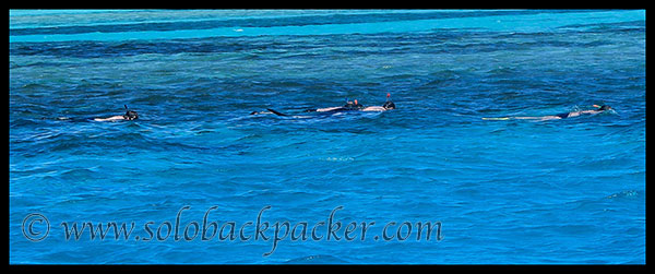 Snorkeling in the sea