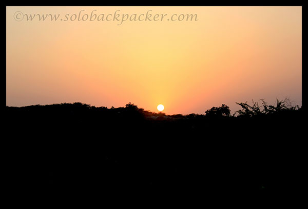 Sunset From Asola Bird Sanctuary, New Delhi