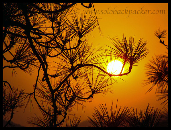 Sunset From Gandhi Park, Dharamshala