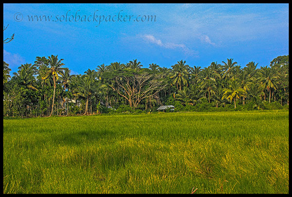 Around Govindnagar Village