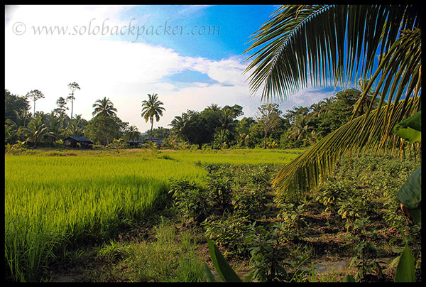 Kalapathhar Village