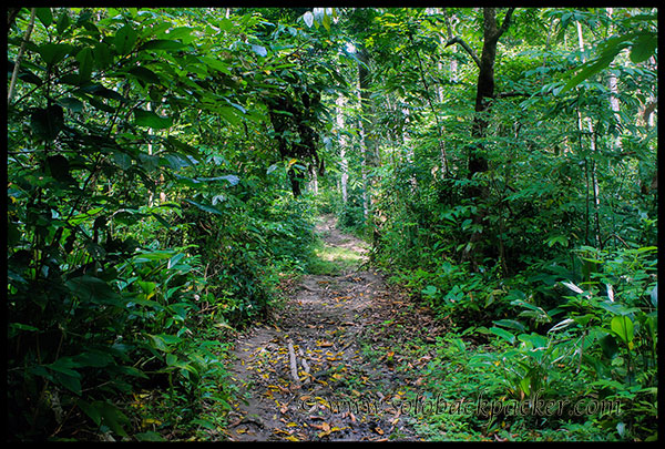 Trekking Trail to The Elephant Beach