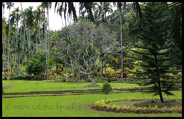 Organic Horticulture Farm of ICAR