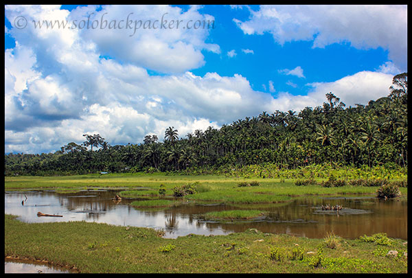 Landscape near Wandoor