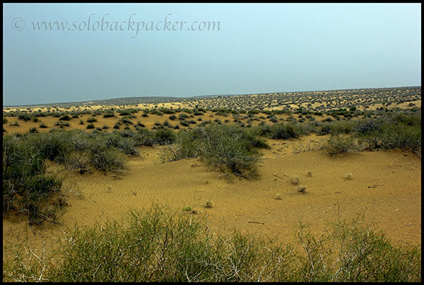 The Great Desert of Thar