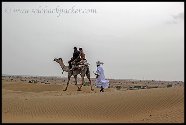 Camel Race