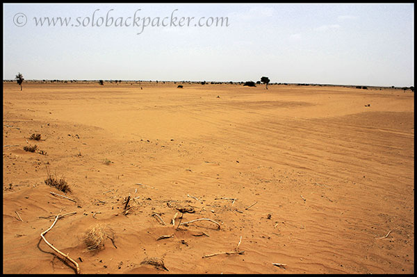 Vast Expanse of The Desert