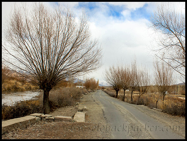 Road Passing Through Spituk Village Along The Indus River