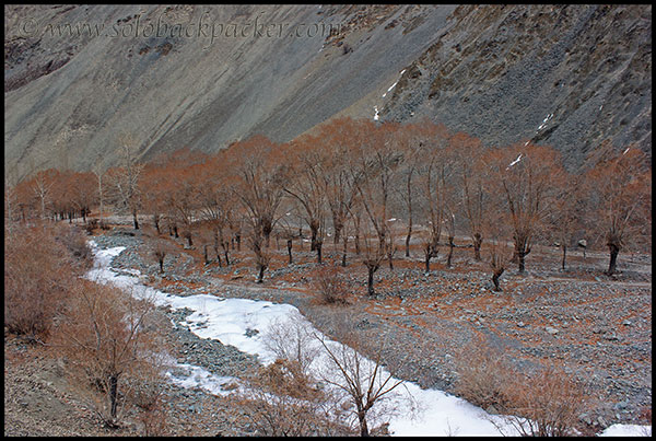 Our Camping Site at Zingchen Village