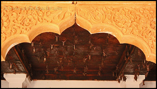 Ceiling of a Patwa Haveli