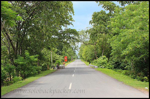 A Well-Maintained Road Leading to Barnawapara in Chhattisgarh