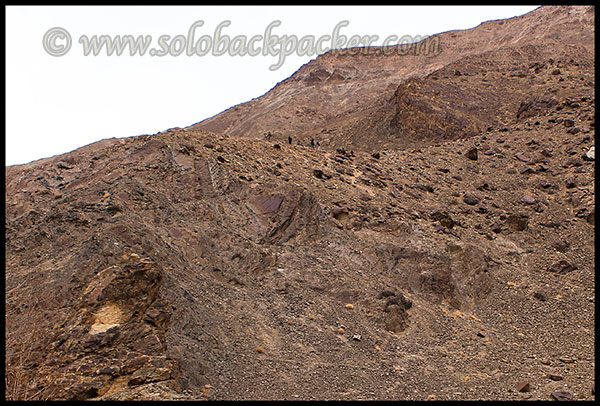 People Searching For Snow Leopard