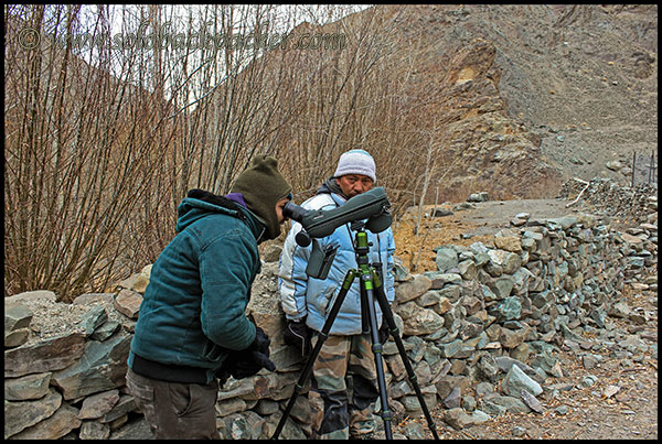 Searching For Leopard