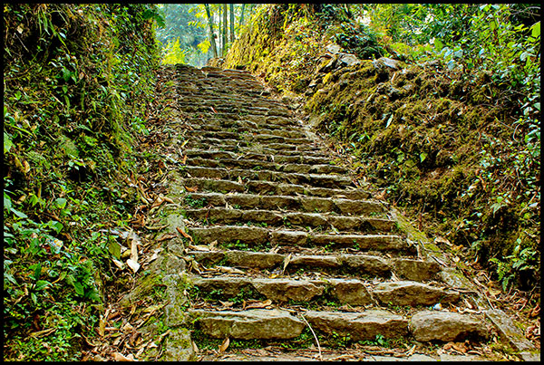 Hiking Trail to Dubdi Monastery