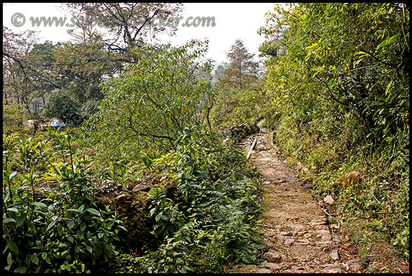 Hiking Trail to Dubdi Monastery