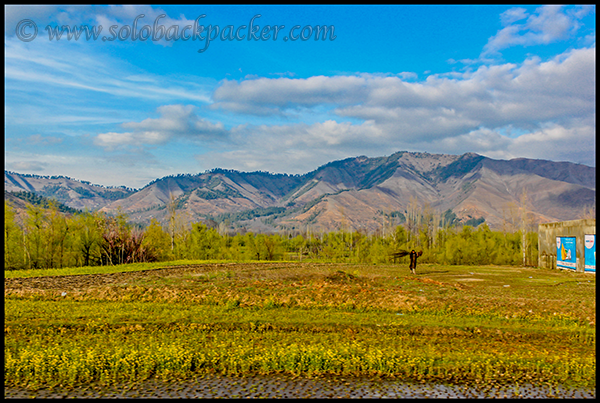 Landscape on the way to Kokernag