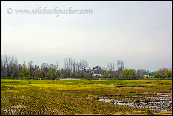 Beautiful Landscape on the way