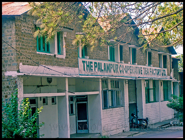 Palampur Tea Factory