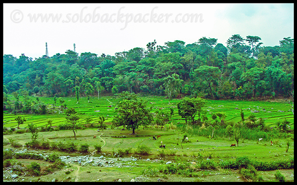 Landscape Near Chetru Village