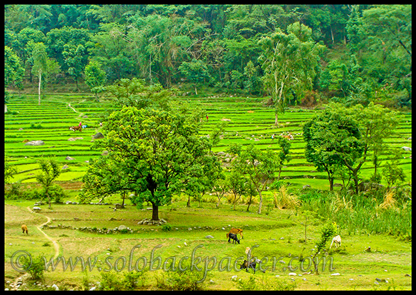 View of Valley Near Chetru Village 