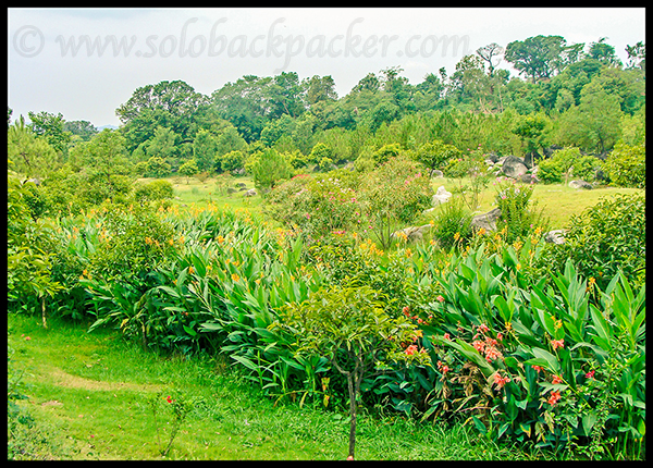 Flowers Near Chetru Village