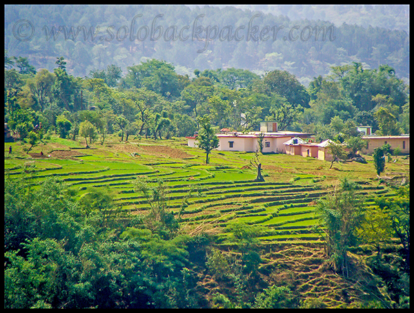 A Small Village Near Dharamshala