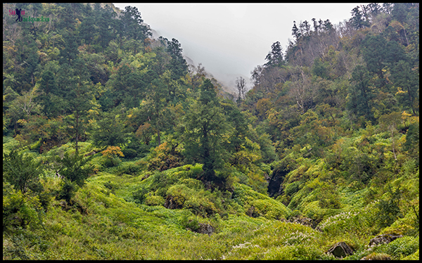 Lush Green Mountains Along The Trekking Route